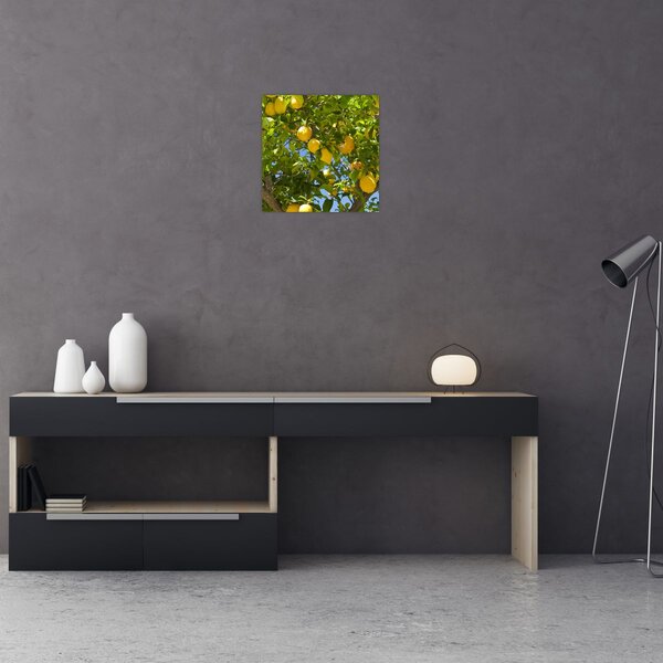 Obraz - Citrónovník (30x30 cm)