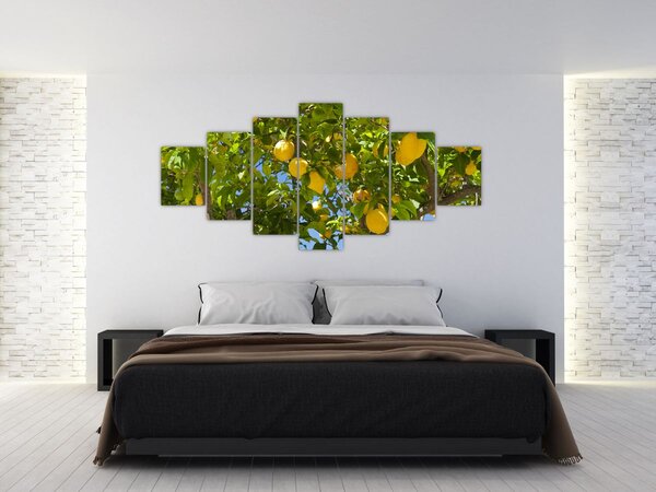 Obraz - Citrónovník (210x100 cm)