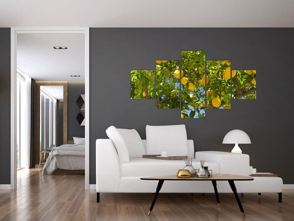 Obraz - Citrónovník (125x70 cm)
