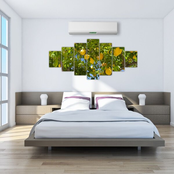 Obraz - Citrónovník (210x100 cm)