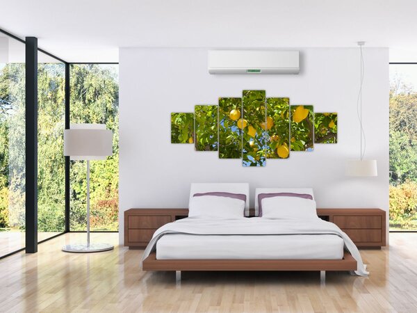 Obraz - Citrónovník (210x100 cm)