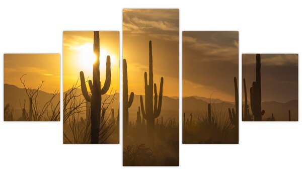 Obraz - Kaktusy Saguaro (125x70 cm)