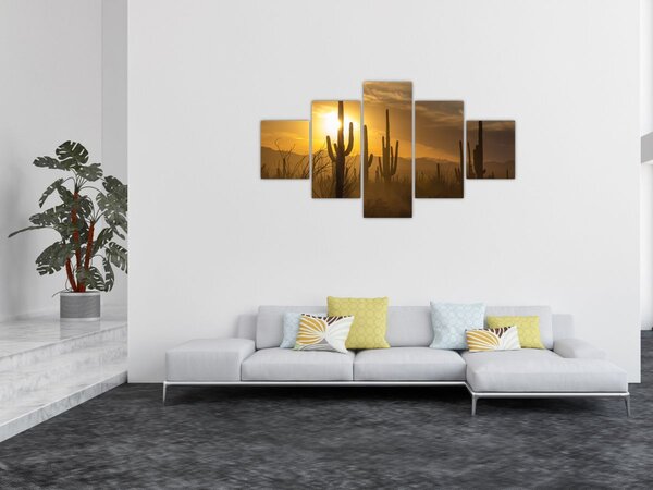 Obraz - Kaktusy Saguaro (125x70 cm)