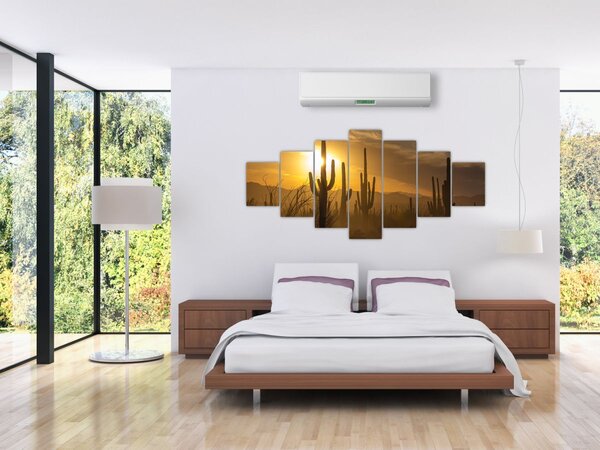Obraz - Kaktusy Saguaro (210x100 cm)
