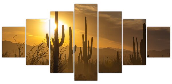 Obraz - Kaktusy Saguaro (210x100 cm)