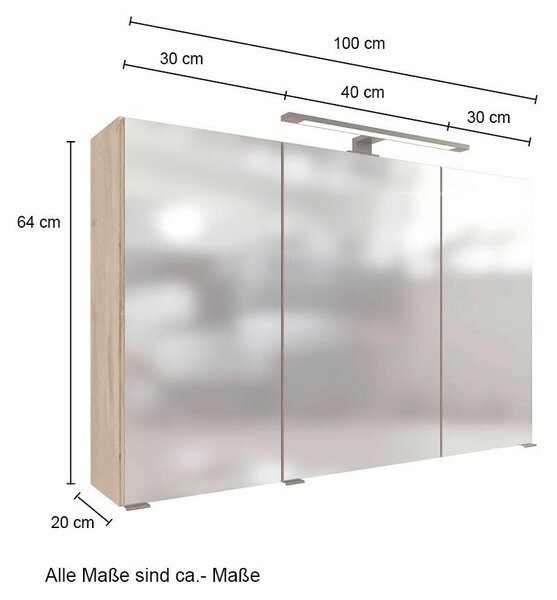 ZRCADLOVÁ SKŘÍŇKA, barvy dubu, 100/64/20 cm Held - Koupelnové série, Online Only