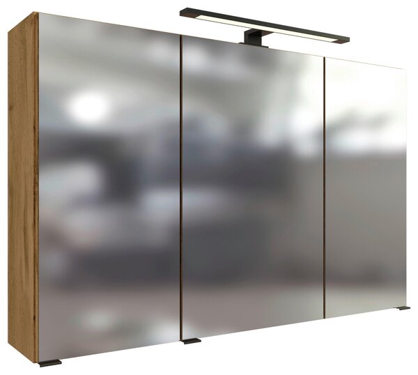 ZRCADLOVÁ SKŘÍŇKA, barvy dubu, 100/64/20 cm Held - Koupelnové série, Online Only
