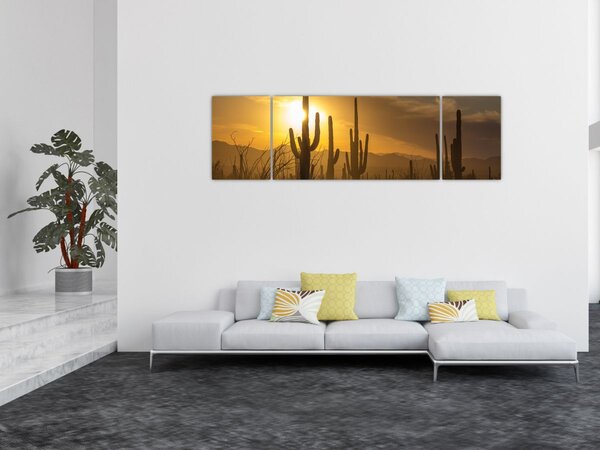 Obraz - Kaktusy Saguaro (170x50 cm)