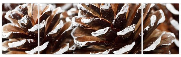 Obraz - Šišky (170x50 cm)