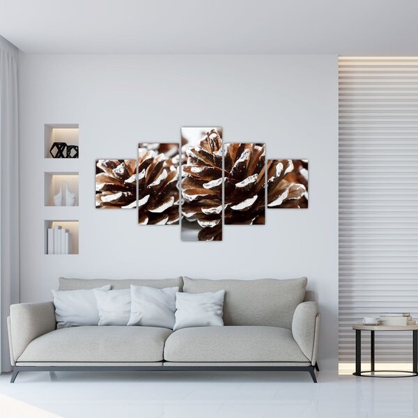 Obraz - Šišky (125x70 cm)