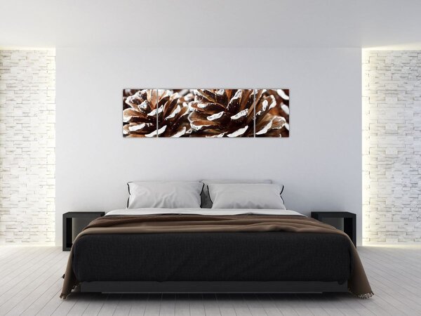 Obraz - Šišky (170x50 cm)