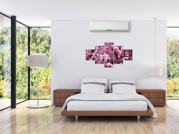 Obraz - Růžová sakura (125x70 cm)