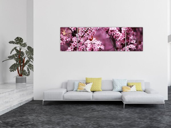 Obraz - Růžová sakura (170x50 cm)