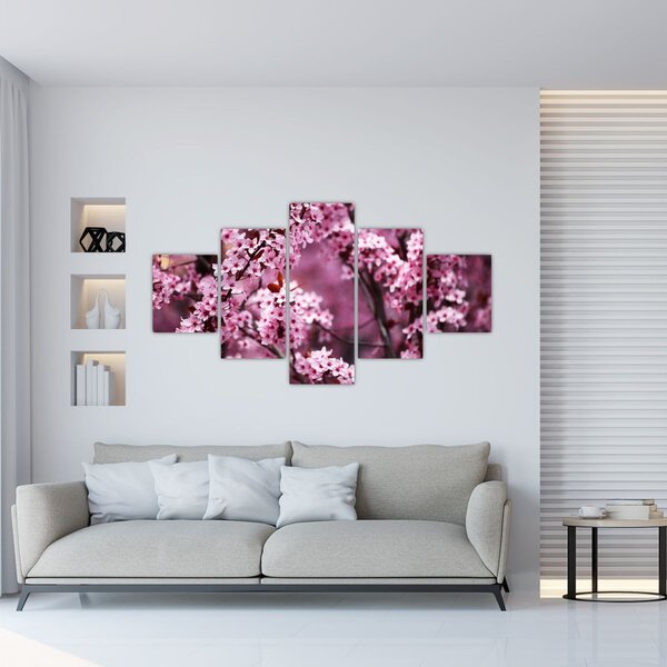 Obraz - Růžová sakura (125x70 cm)