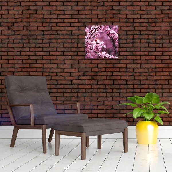 Obraz - Růžová sakura (30x30 cm)