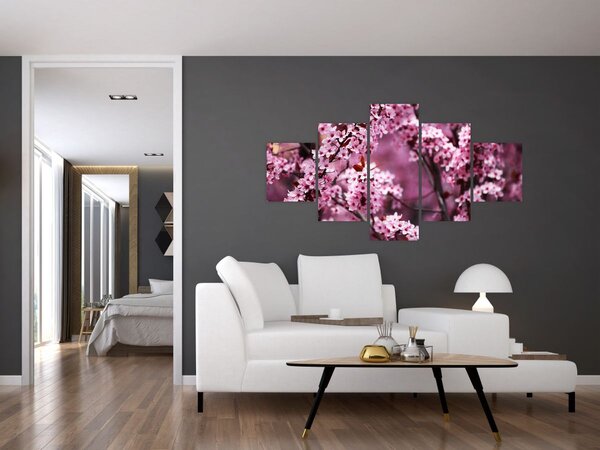 Obraz - Růžová sakura (125x70 cm)