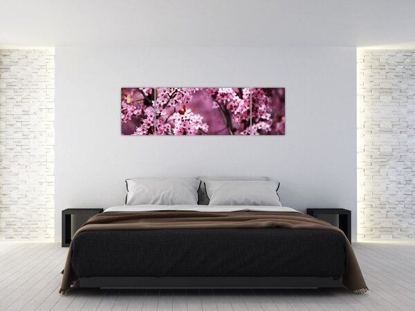 Obraz - Růžová sakura (170x50 cm)