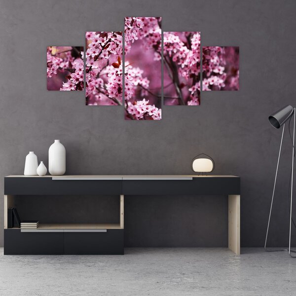 Obraz - Růžová sakura (125x70 cm)