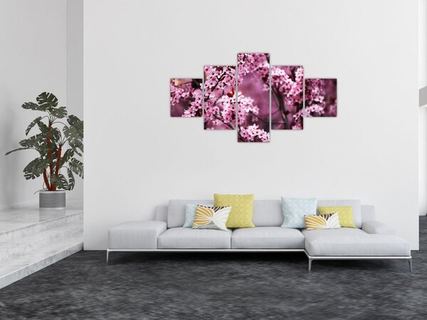 Obraz - Růžová sakura (125x70 cm)
