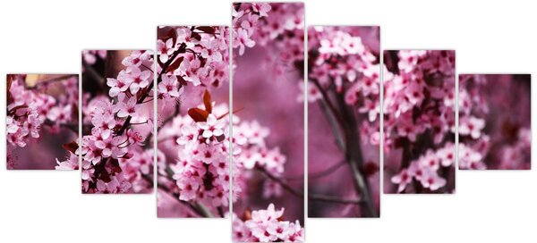 Obraz - Růžová sakura (210x100 cm)