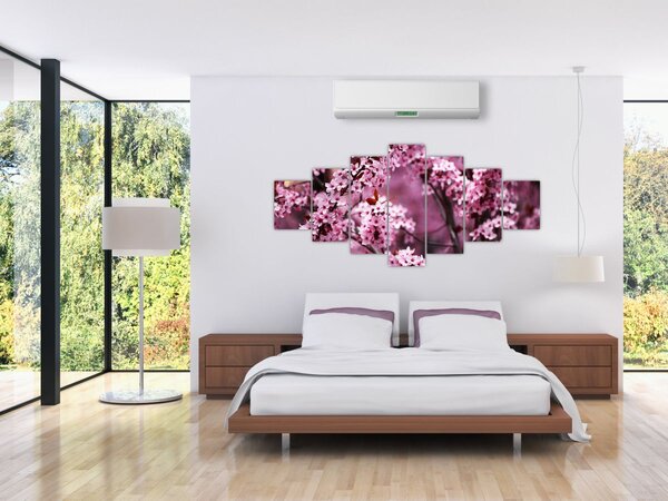 Obraz - Růžová sakura (210x100 cm)