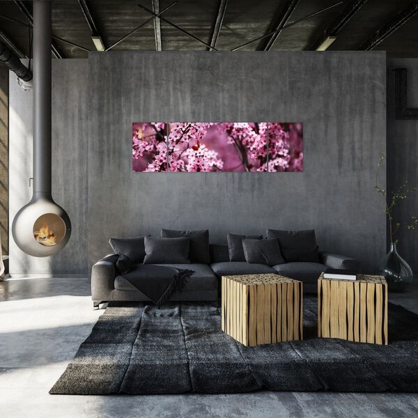 Obraz - Růžová sakura (170x50 cm)
