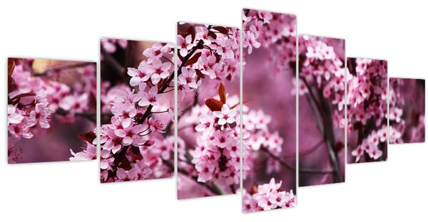 Obraz - Růžová sakura (210x100 cm)