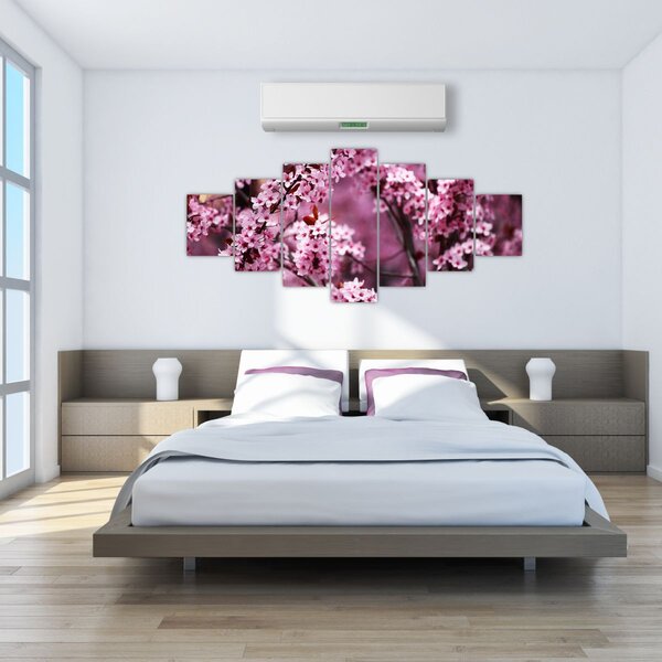 Obraz - Růžová sakura (210x100 cm)