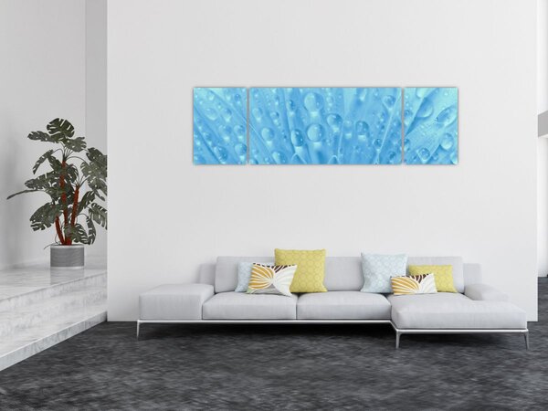 Obraz - Makro záběr květu (170x50 cm)