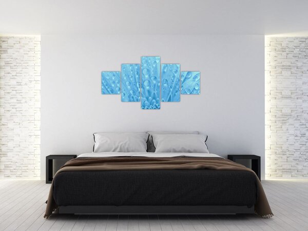 Obraz - Makro záběr květu (125x70 cm)