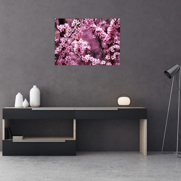 Obraz - Růžová sakura (70x50 cm)