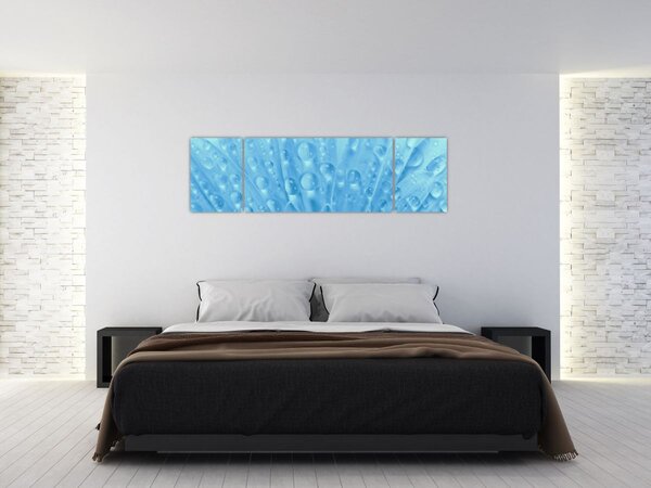 Obraz - Makro záběr květu (170x50 cm)