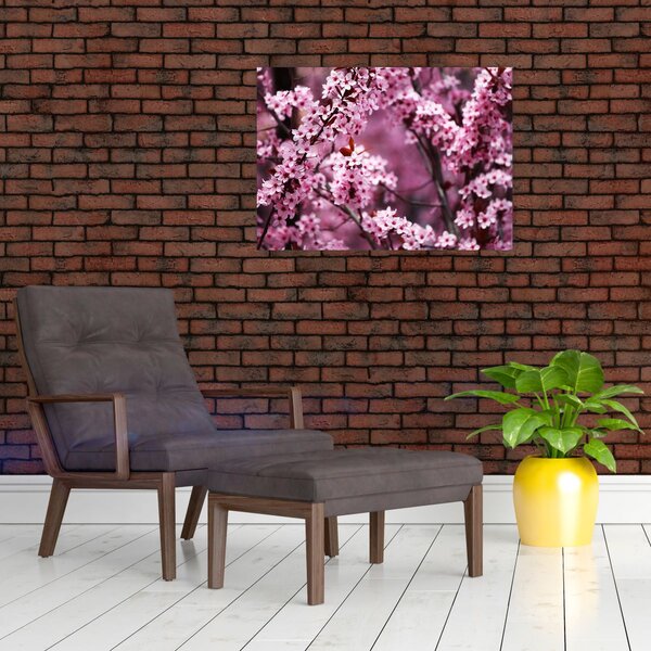 Obraz - Růžová sakura (70x50 cm)