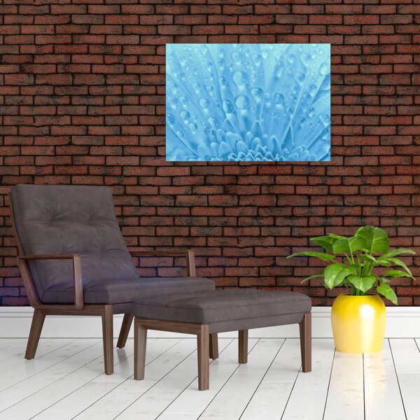 Obraz - Makro záběr květu (70x50 cm)