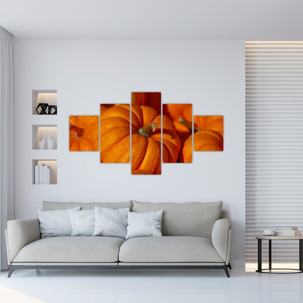 Obraz - Velké dýně (125x70 cm)