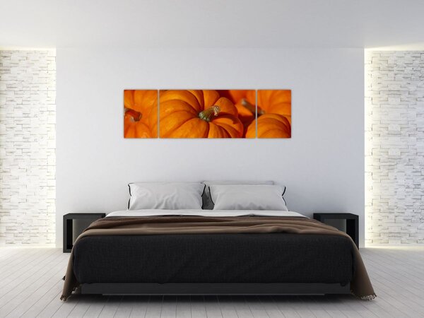 Obraz - Velké dýně (170x50 cm)