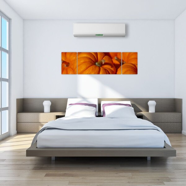 Obraz - Velké dýně (170x50 cm)