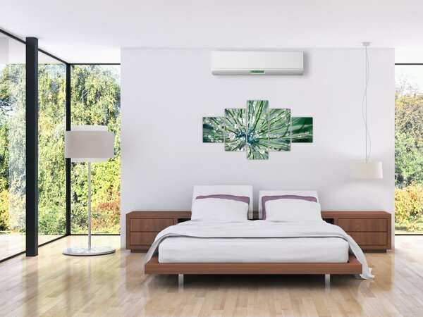 Obraz - Makro snímek květu (125x70 cm)