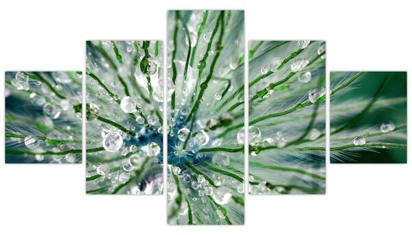 Obraz - Makro snímek květu (125x70 cm)