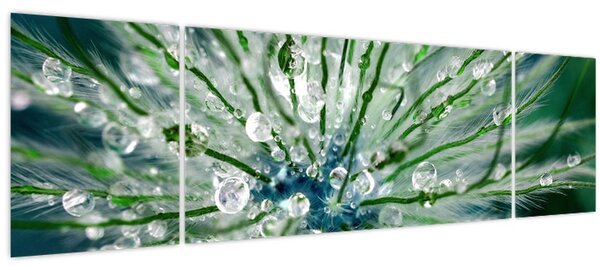 Obraz - Makro snímek květu (170x50 cm)