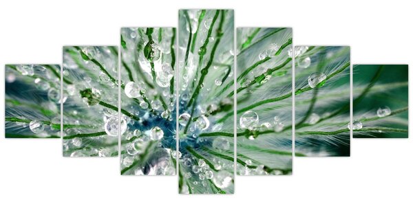 Obraz - Makro snímek květu (210x100 cm)
