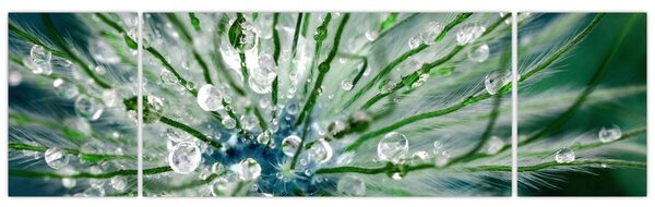 Obraz - Makro snímek květu (170x50 cm)