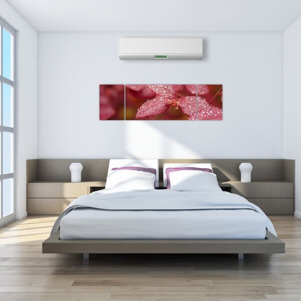 Obraz - Makro snímek lístku (170x50 cm)