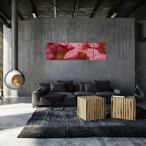 Obraz - Makro snímek lístku (170x50 cm)