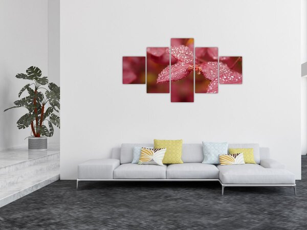 Obraz - Makro snímek lístku (125x70 cm)