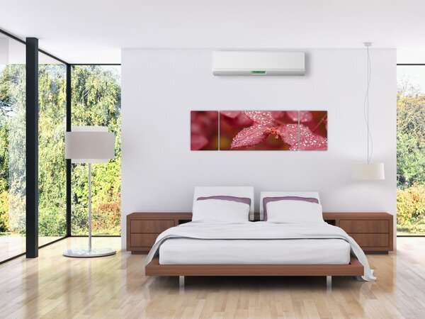 Obraz - Makro snímek lístku (170x50 cm)