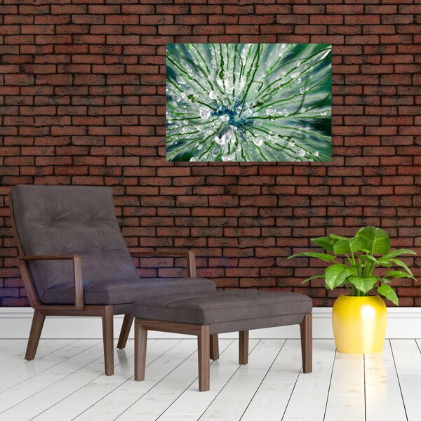 Obraz - Makro snímek květu (70x50 cm)