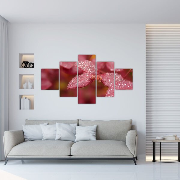 Obraz - Makro snímek lístku (125x70 cm)