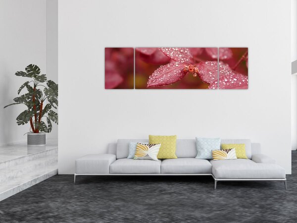 Obraz - Makro snímek lístku (170x50 cm)