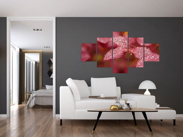 Obraz - Makro snímek lístku (125x70 cm)